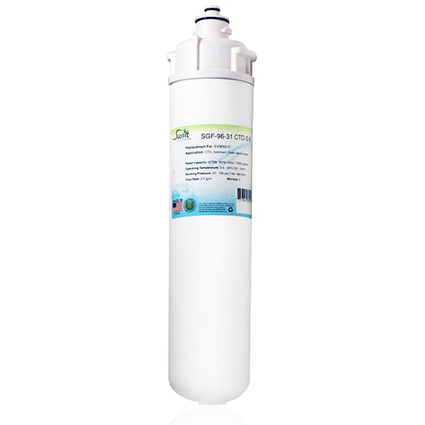 SGF-96-31 CTO-S-B Replacement water filter for Everpure EV9693-31